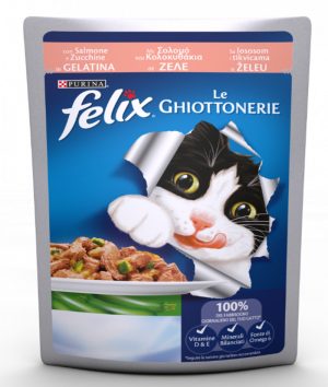 FELIX ΜΕ ΣΟΛΟΜΟ ΚΑΙ ΚΟΛΟΚΥΘΑΚΙΑ 100g