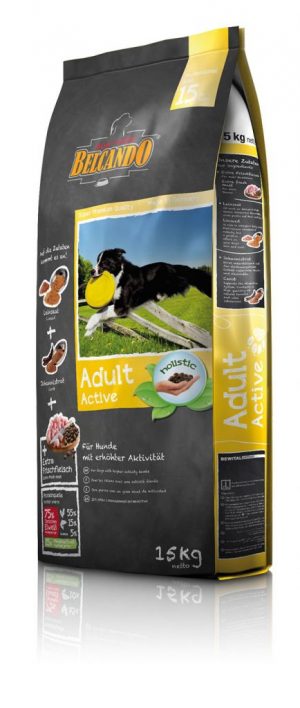Adult Active