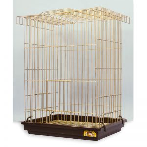 ΑΜΑΖΟΝ ΜΕΓΑΛΩΝ ΠΑΠΑΓΑΛΩΝ ΚΛΟΥΒΙ Κ101 46χ36χ70cm