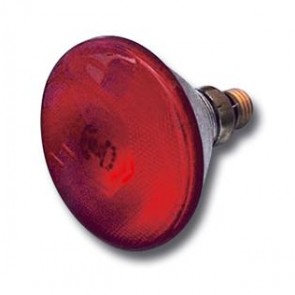 Λάμπα θερμαντική, σκληρής υάλου, 'Phillips', 175 Watt